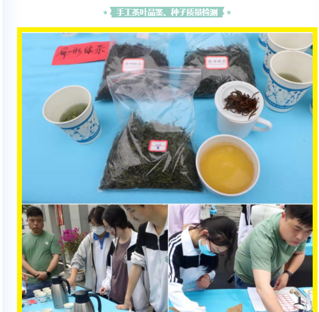 图片5.png