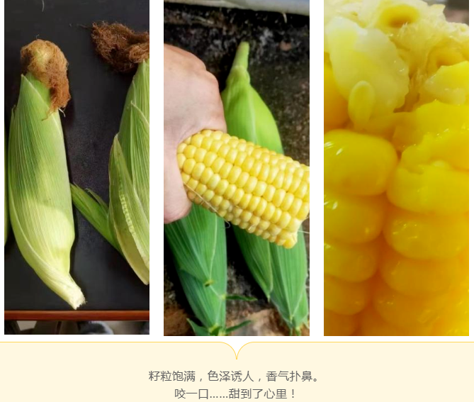 图片6.png