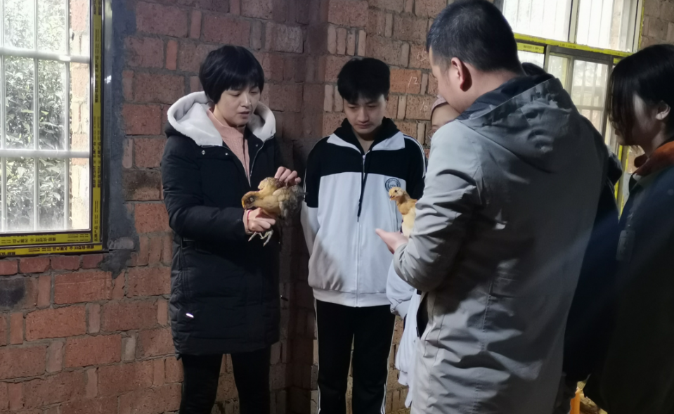 图片4.png