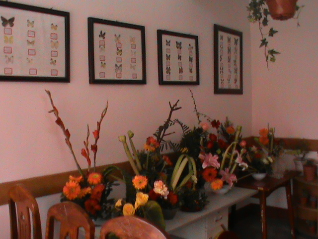 DSC00032.JPG