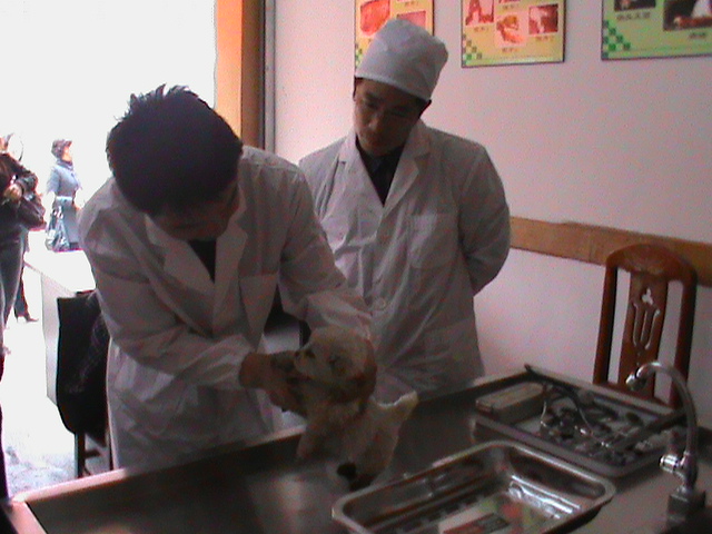DSC00058.JPG