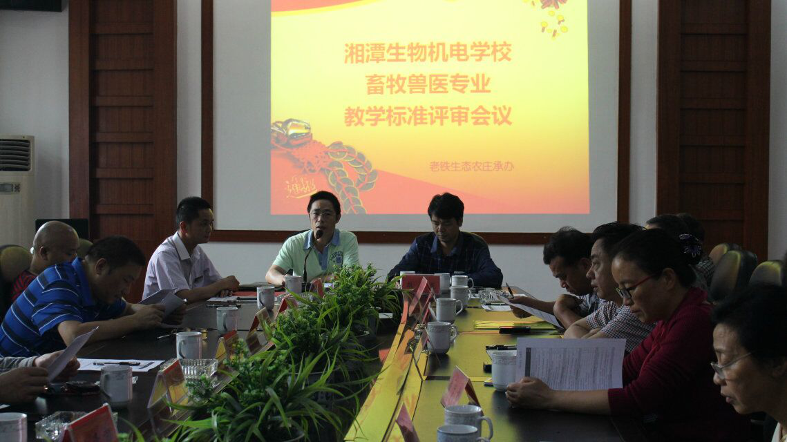 图片29.png