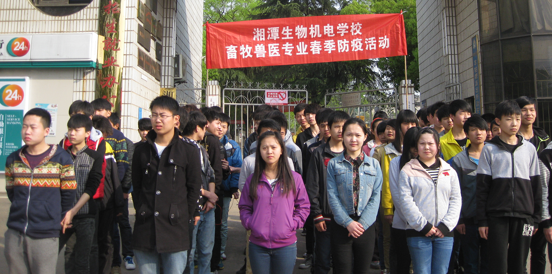 图片30.png